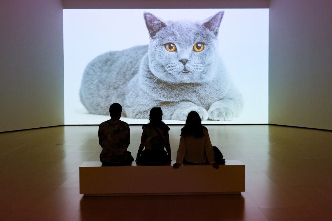 Drei Besucher betrachten eine riesige Katzenprojektion im Ausstellungsraum
